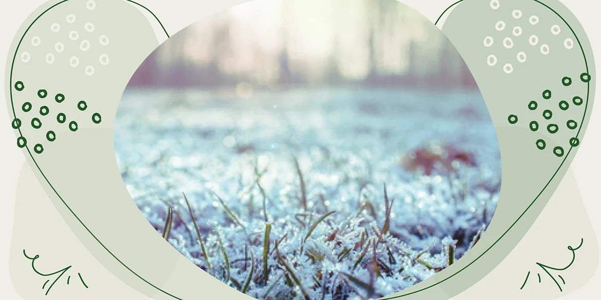 Rasenmähen im Winter? Die wichtigste Regel vom Profi Gartenkorn