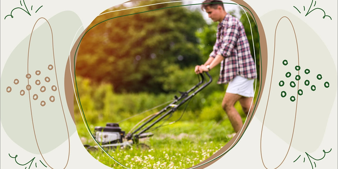 Rasen mähen nach dem Winter Tipps zu Rasenpflege & Wässern Gartenkorn