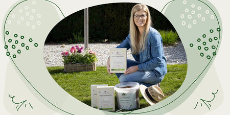 Rasen überdüngt: was nun? Hilfe bei der Rettung Deines Rasen image