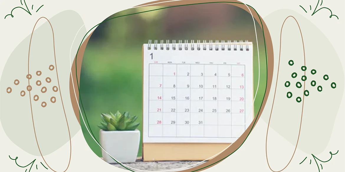 Rasenpflege Kalender: Tipps für ein perfektes Grün  Gartenkorn