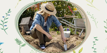 Rasendünger ausbringen: der richtige Weg image