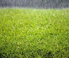 erde rasen gartenkorn düngen mähen