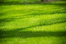 erde rasen gartenkorn düngen mähen