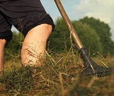 erde rasen gartenkorn düngen mähen