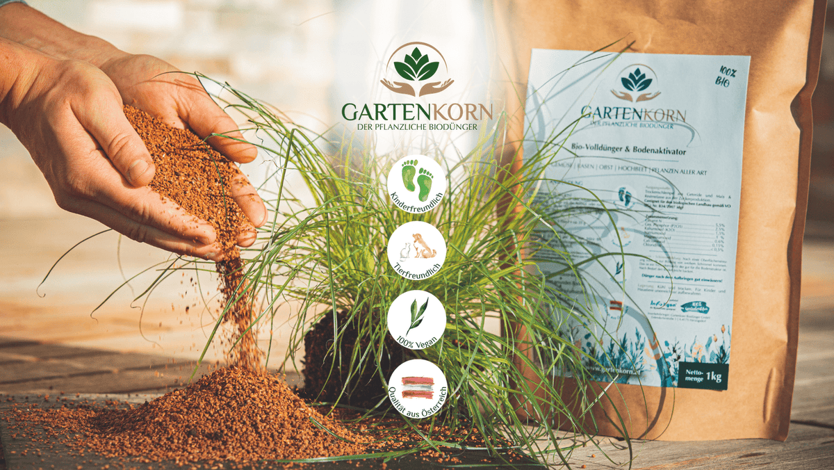 Wie viel Dnger brauche ich  Gartenkorn