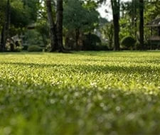 rasen begradigen grass begradigen garten gartenkorn