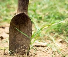 grassnarbe entfernen anleitung gartenkorn