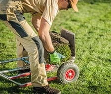 grassnarbe entfernen anleitung gartenkorn