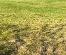 rasen begradigen grass begradigen garten gartenkorn