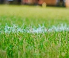 grassnarbe entfernen anleitung gartenkorn