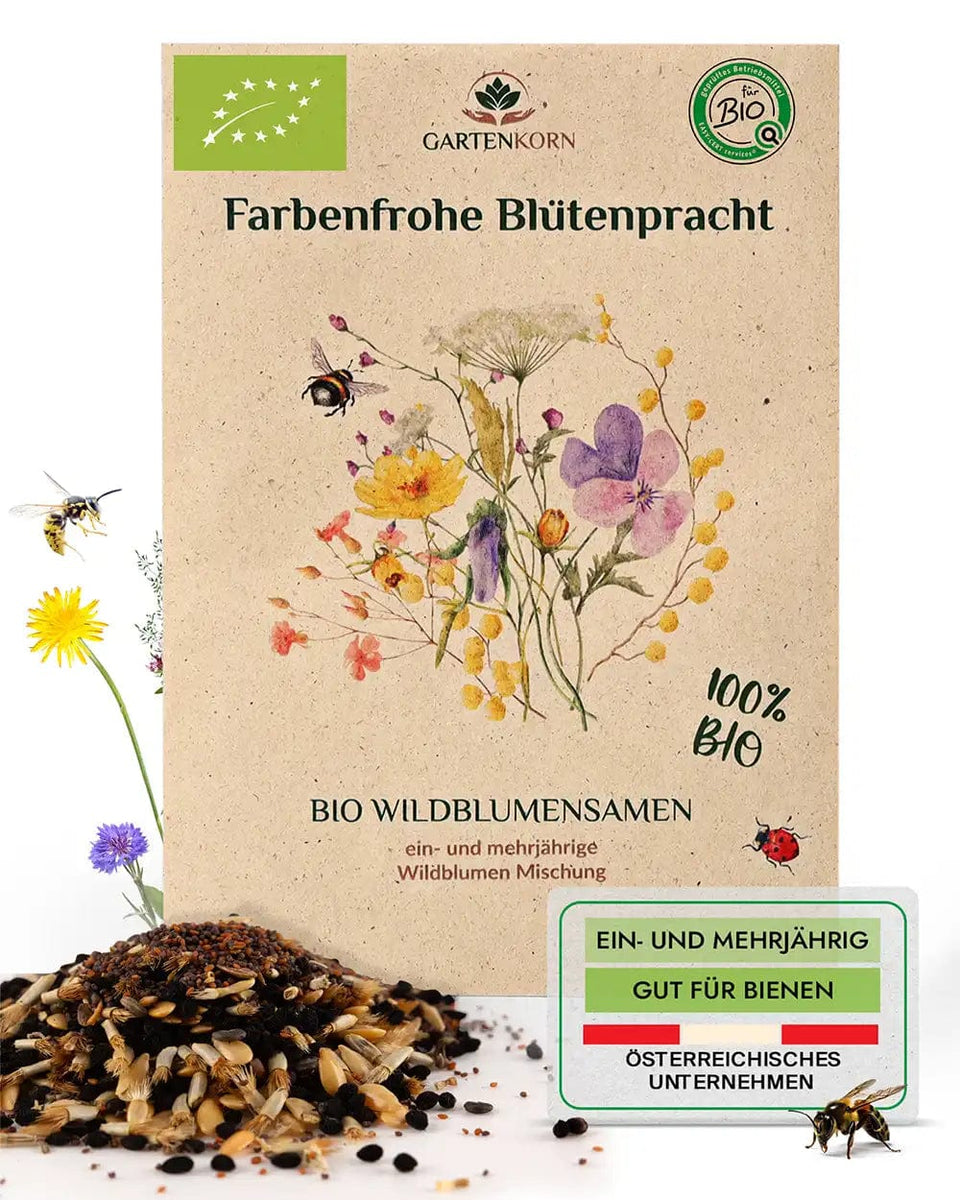 blumenwiese saatgut bio Wildblumensamen Mischung online kaufen