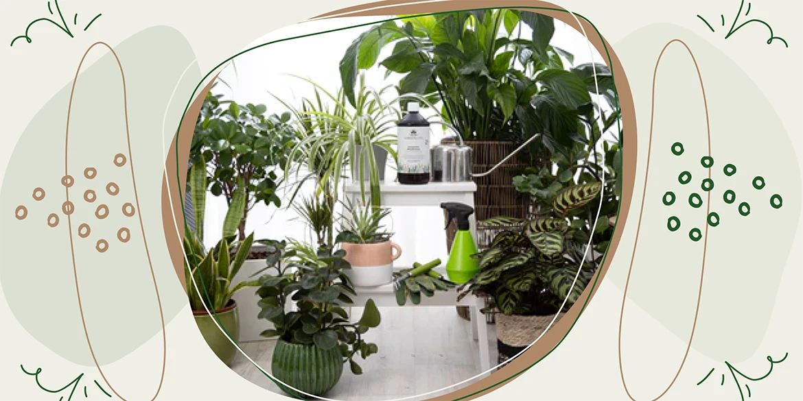 Indoor-Dschungel voll im Trend  Gartenkorn