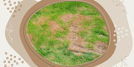 Gartenboden – Das Fundament für einen perfekten Rasen image