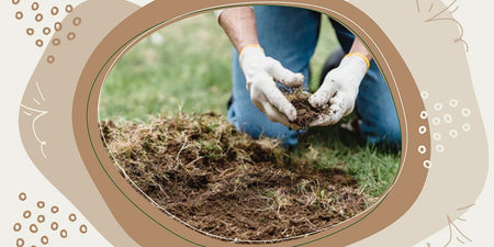 Wie pflege ich meinen Gartenboden? Mit diesen Nährstoffen verbesserst du deinen Boden! image