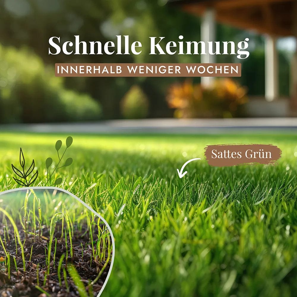 rasensamen und dünger gleichzeitig Rasensamen für den Garten | Qualität für kräftige Saat