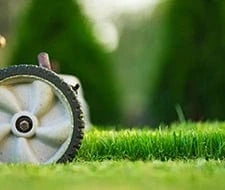 Rasen sanden leicht gemacht: Dein grüner Weg zum Traumgarten – Gartenkorn